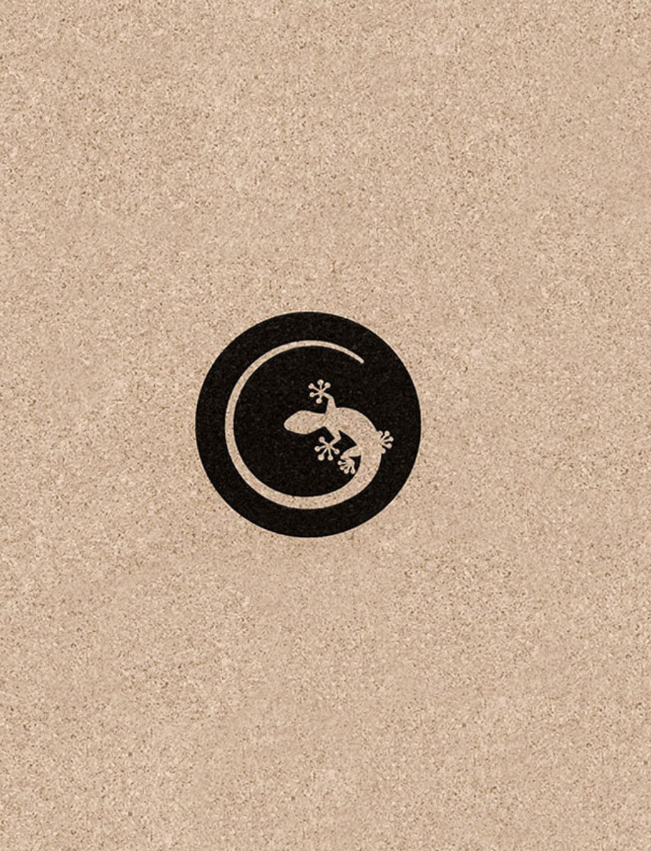 logo-camin